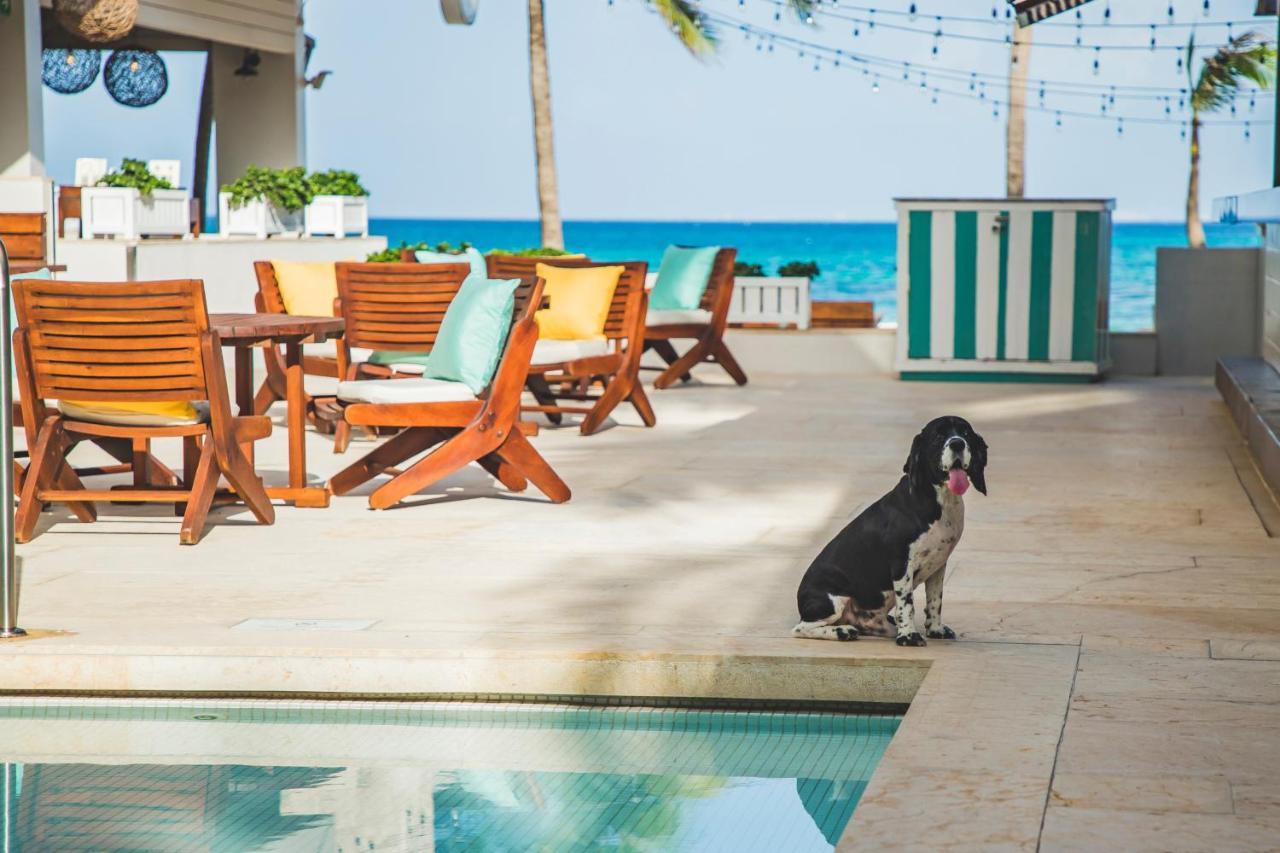 Thompson Playa Del Carmen Beach House, By Hyatt Eksteriør billede