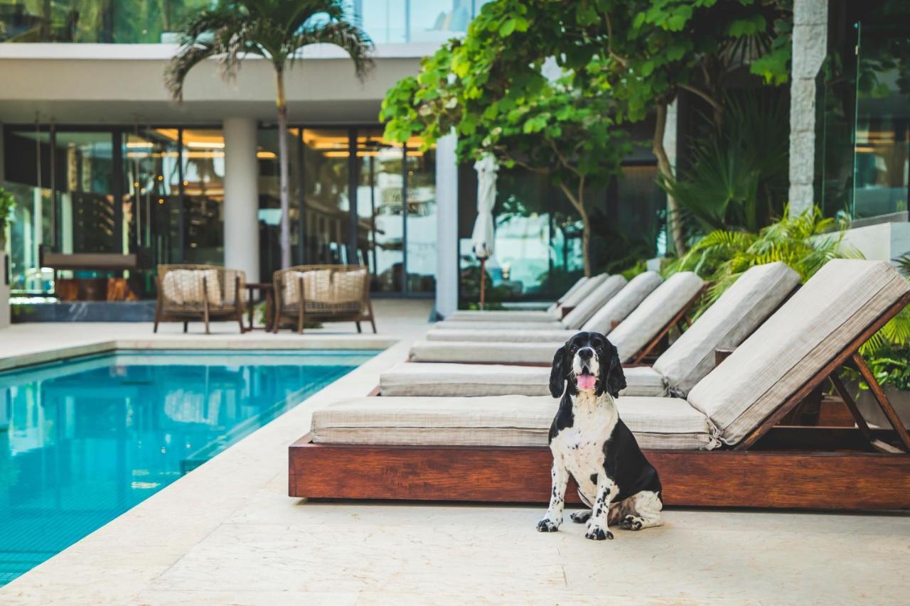 Thompson Playa Del Carmen Beach House, By Hyatt Eksteriør billede